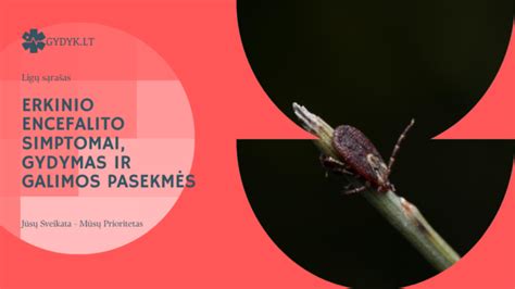 Simptomai ir pasekmės