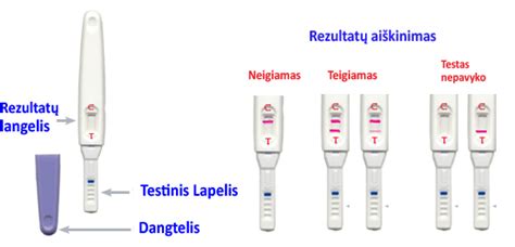 Schema, kaip veikia nėštumo testas su HCG hormonu
