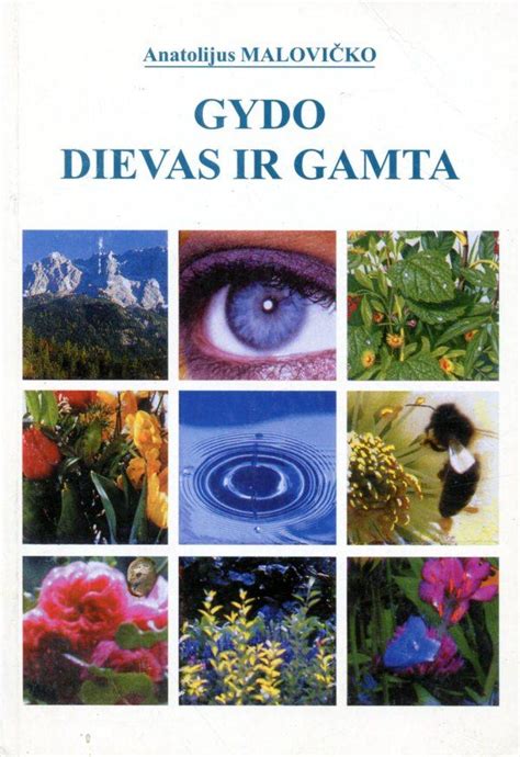 Simbolinis paveikslas: knyga ir gamta