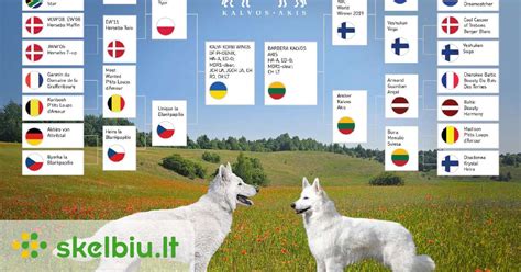 istorija baltųjų šveicarų aviganių