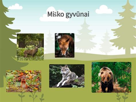 Miško gyvūnų pėdsakų pavyzdžiai