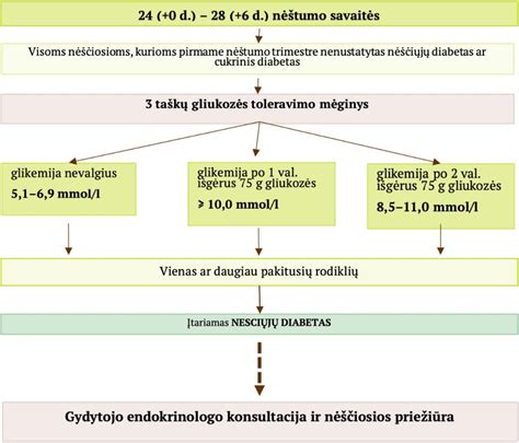 Schema, iliustruojanti mitybos rekomendacijas nėštumo metu