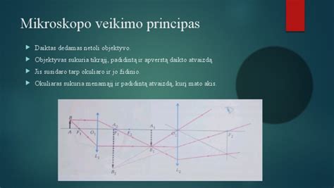 Viso egzomo sekoskaitos principas