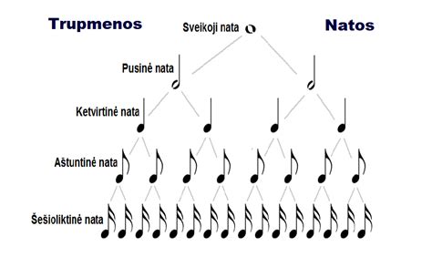 natos ir muzikos instrumentai