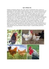 Klasifikacija vištų veislių