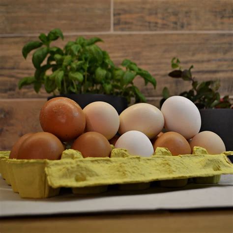 Įvairių spalvų vištų kiaušiniai