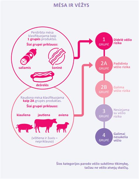 Schematinis vaizdas apie nėščiosios miegojimo padėtis ir poveikį