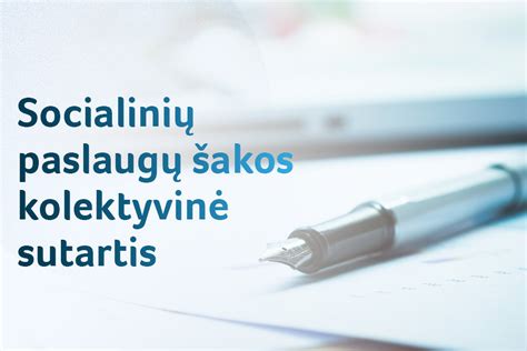 Socialinių paslaugų įstaigų tipų palyginimas