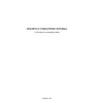 Augustino Rakausko verslo istorija