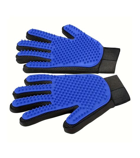 Infografika su gyvūnų priežiūros taisyklėmis