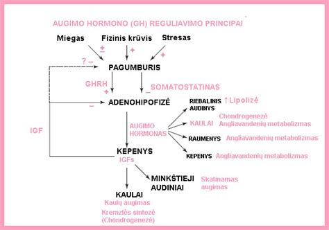 Augimo hormono molekulė