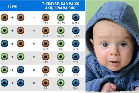 Vaiko akių ir spalvų sąveika