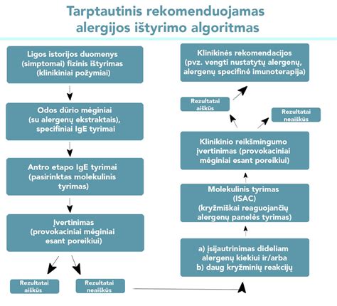 Schema, kaip atlikti alergijos testą.