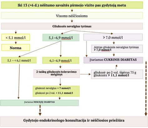 Nėštumo echoskopijos schema
