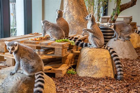 Zoopark Vilnius interjeras su gyvūnais