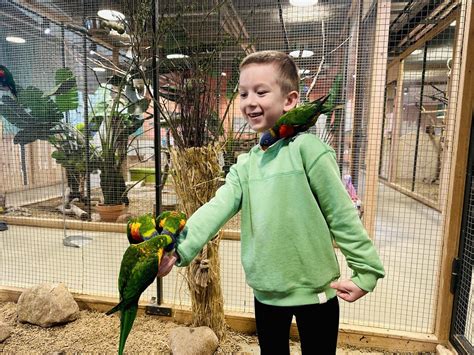 Vaikai bendrauja su gyvūnais Zooparke