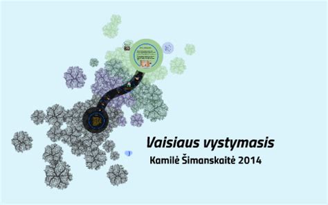 Vaisiaus vystymasis per savaitę