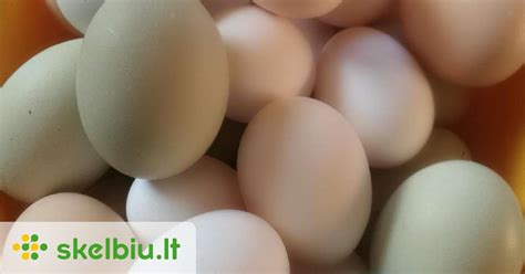 Švieži kiaušiniai