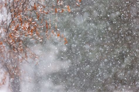 įvairių tipų sniegas