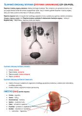Infografika, demonstruojanti taisyklingą kateterio ir šlapimo surinkimo sistemos priežiūrą