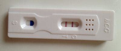 Teisingai atliktas nėštumo testas