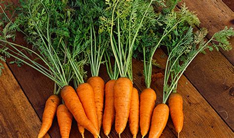 Morkos ir vitaminų įtaka šlapimo spalvai