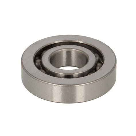 Alkūninio veleno guolis