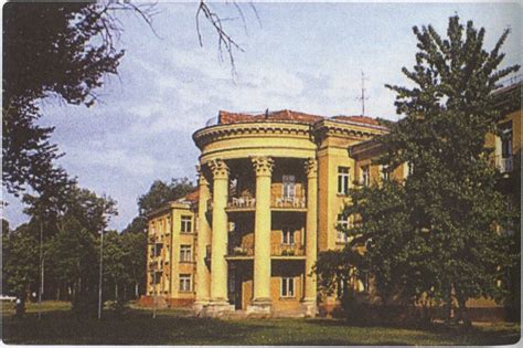 Jaunas Stepas Grybauskas