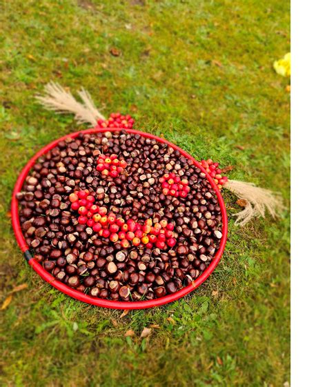 Rudens spalvos ir gamtos medžiagos darželyje