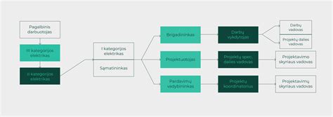 Schema: Auklėtojo karjeros kelias nuo padėjėjo iki eksperto