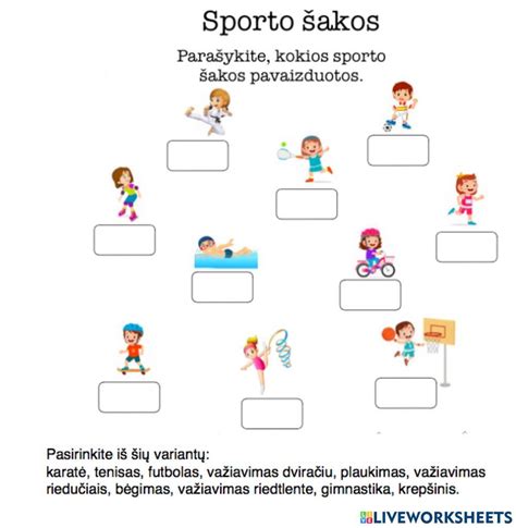 grafikas, iliustruojantis draudimo kainos priklausomybę nuo sporto šakos