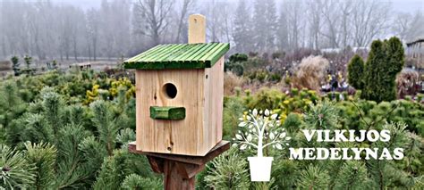 Vaiko rankomis sukurtas inkilas paukščiams