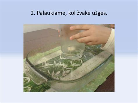 Indeliai su vandeniu, žvyru ir oru suspaudimui