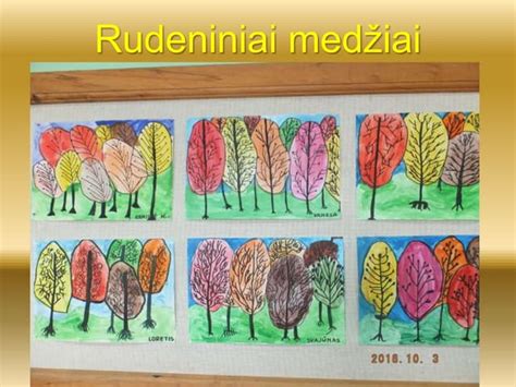 Rudeniniai medžiai su spalvingais lapais