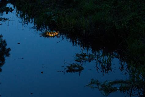 Joninių simboliai: saulė, vanduo, žolynai, laužas