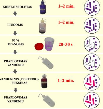 Citologinio tepinėlio paėmimas