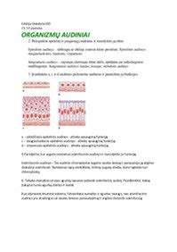 Audinių palyginimas apatiniam trikotažui