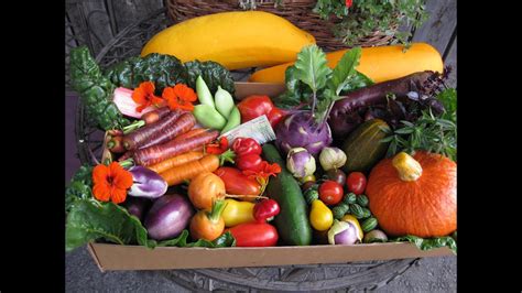 Daržovių ir vaisių auginimas