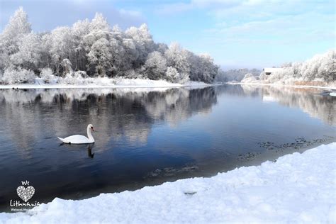 Lietuvos gamta žiemą