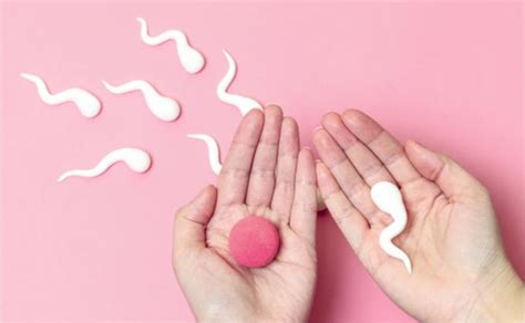 procedūra intrauterininė inseminacija