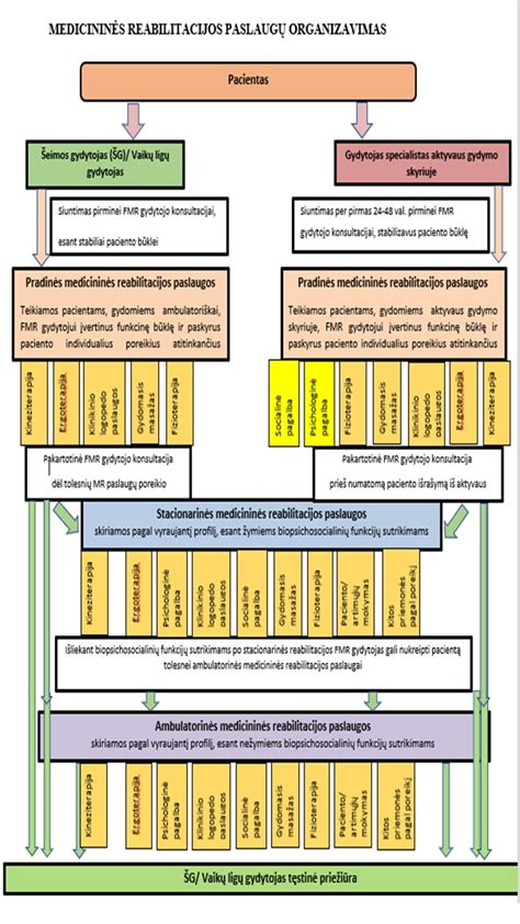 Vaiko imuninės sistemos vystymosi schema