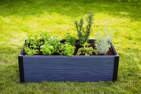 Mulčiuotos lysvės darže