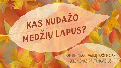 Vaikai tiria medžių lapus