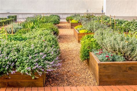 Pakeltos lysvės su įrengtais takais