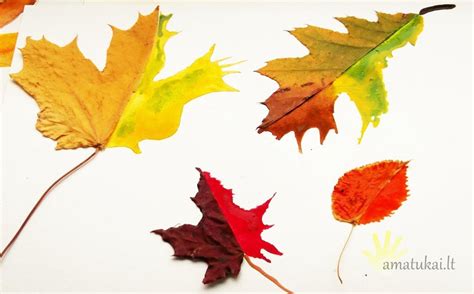 rudeniniai lapai ir raidės