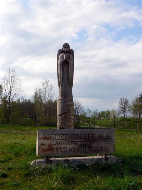 Vaizdas į Kaltinėnų miestelį