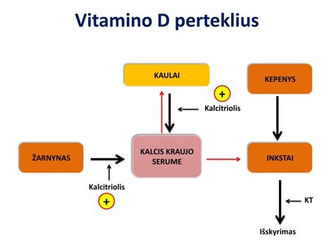 Vitamino D svarba kaulams ir imunitetui