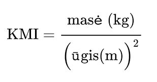 KMI skaičiuoklės pavyzdys