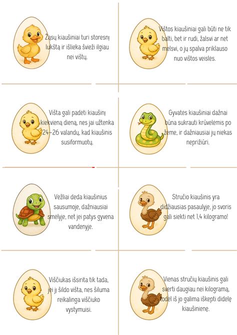 vaikų edukaciniai žaidimai