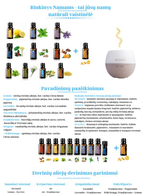 Infografika apie slapukų tipus ir jų naudojimą